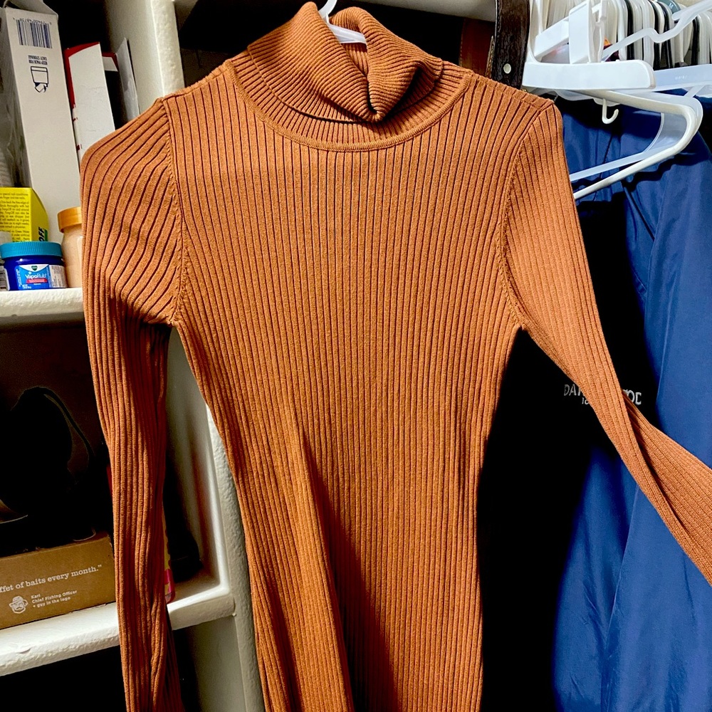 Long sleeve, turtle neck dress. Great for the fall season! Never worn.